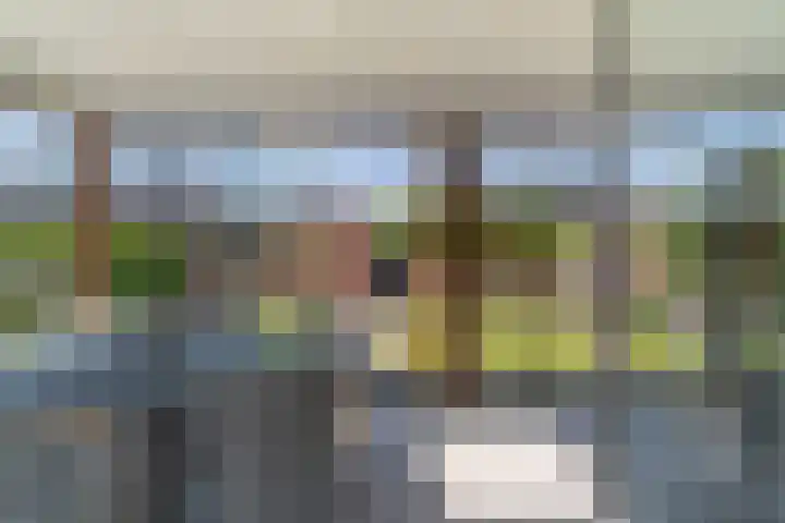 Willem van Nieuwenhuizenlaan 20 Den Haag thumbnail 30