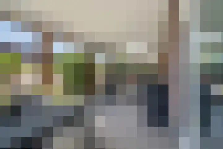 Willem van Nieuwenhuizenlaan 20 Den Haag thumbnail 31