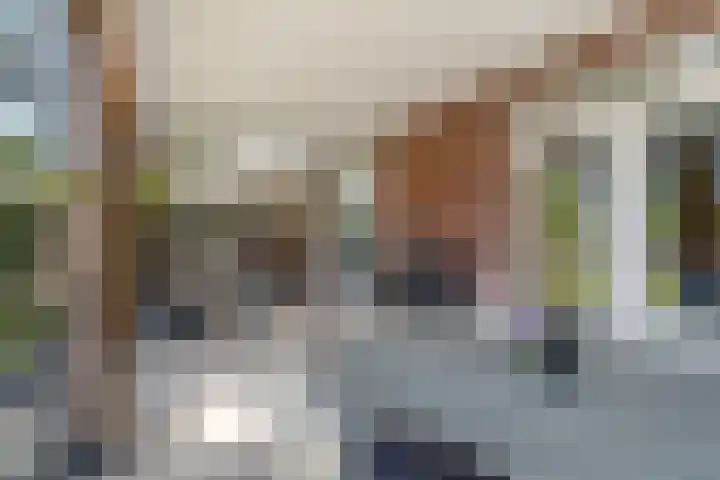 Willem van Nieuwenhuizenlaan 20 Den Haag thumbnail 32