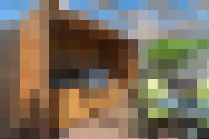 Willem van Nieuwenhuizenlaan 20 Den Haag thumbnail 37