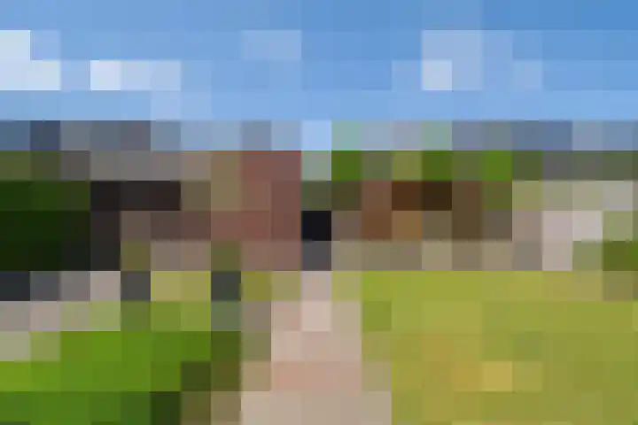 Willem van Nieuwenhuizenlaan 20 Den Haag thumbnail 4