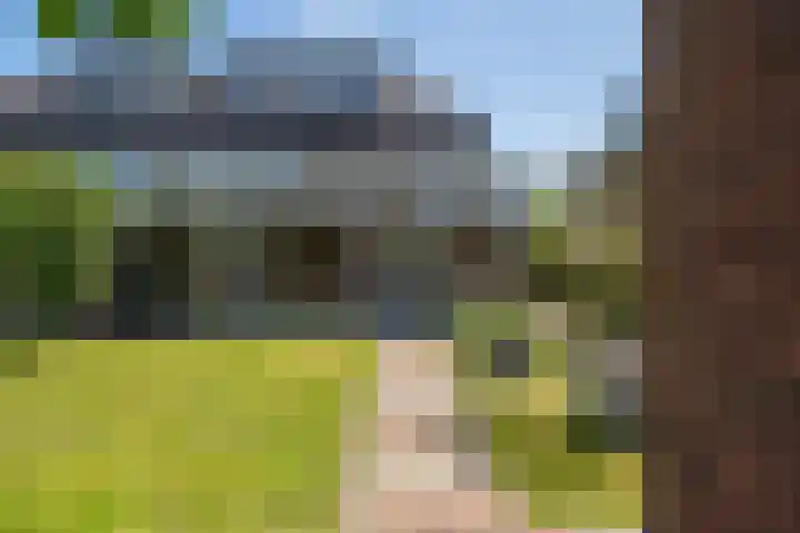 Willem van Nieuwenhuizenlaan 20 Den Haag thumbnail 40