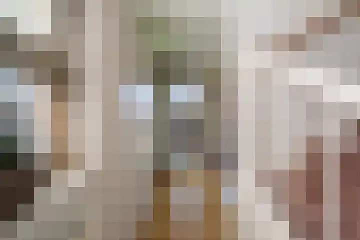 Willem van Nieuwenhuizenlaan 20 Den Haag thumbnail 51
