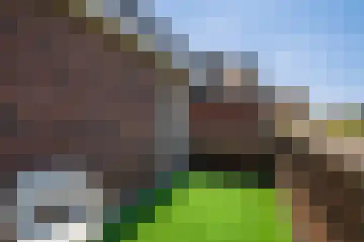 Willem van Nieuwenhuizenlaan 20 Den Haag thumbnail 57