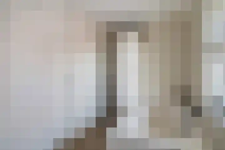 Willem van Nieuwenhuizenlaan 20 Den Haag thumbnail 59