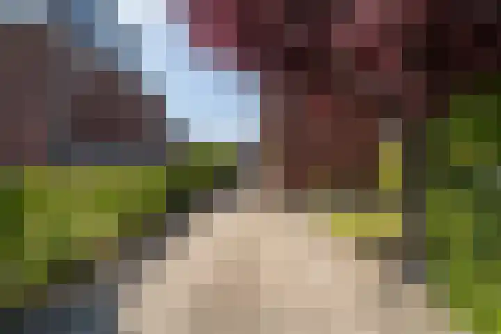 Willem van Nieuwenhuizenlaan 20 Den Haag thumbnail 6