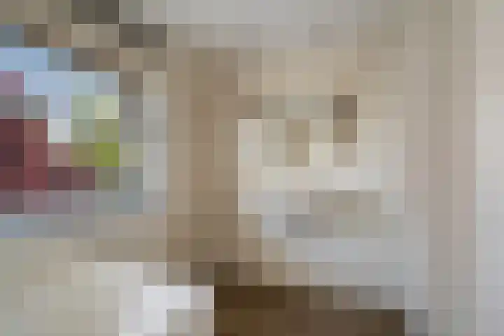 Willem van Nieuwenhuizenlaan 20 Den Haag thumbnail 61