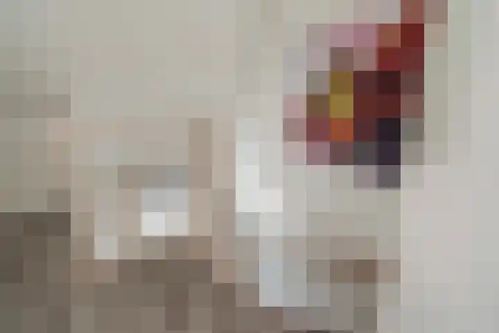 Willem van Nieuwenhuizenlaan 20 Den Haag thumbnail 64