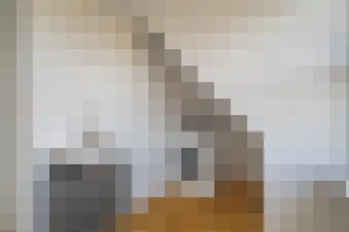Willem van Nieuwenhuizenlaan 20 Den Haag thumbnail 69