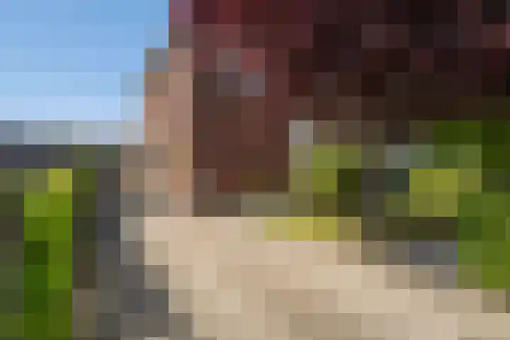 Willem van Nieuwenhuizenlaan 20 Den Haag thumbnail 81