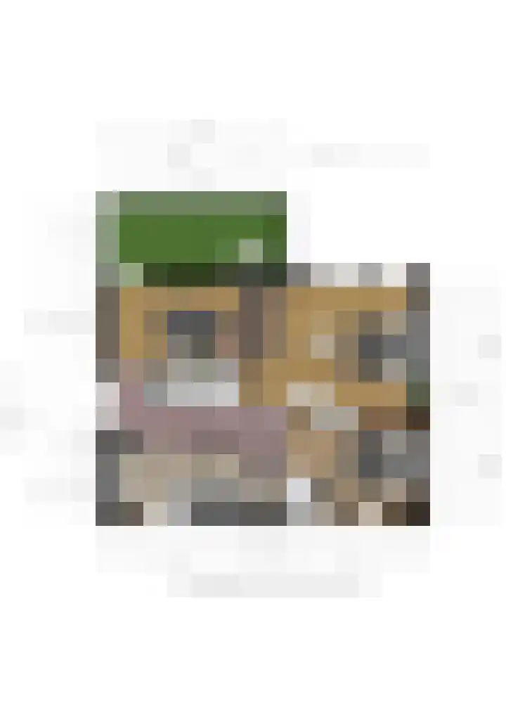 Willem van Nieuwenhuizenlaan 20 Den Haag thumbnail 82