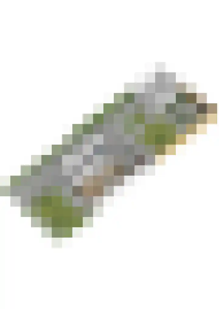 Willem van Nieuwenhuizenlaan 20 Den Haag thumbnail 88