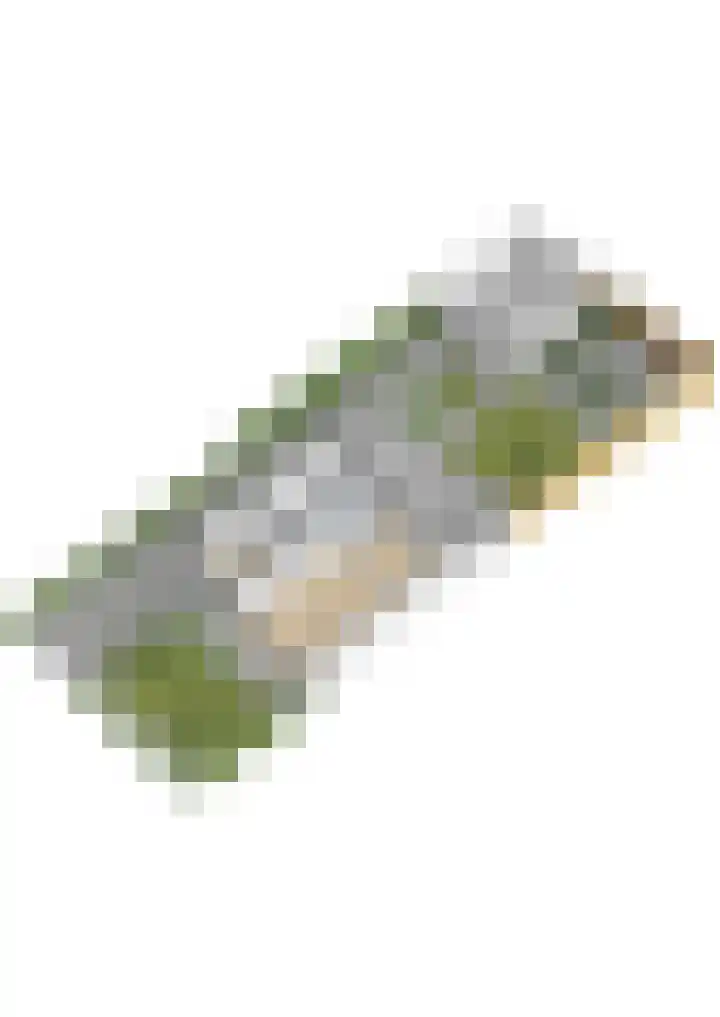 Willem van Nieuwenhuizenlaan 20 Den Haag thumbnail 96
