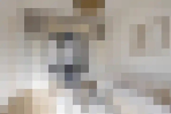 Willem van Noortstraat 103 Utrecht thumbnail 16
