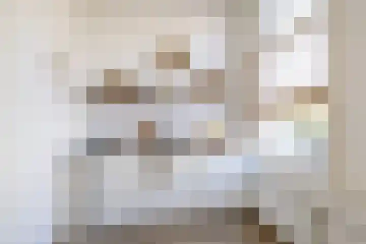 Willem van Noortstraat 103 Utrecht thumbnail 20