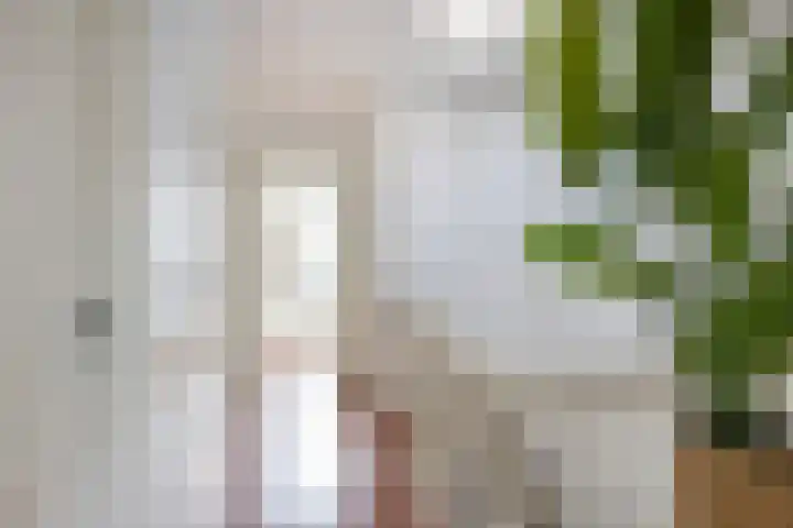 Willem van Noortstraat 103 Utrecht thumbnail 35