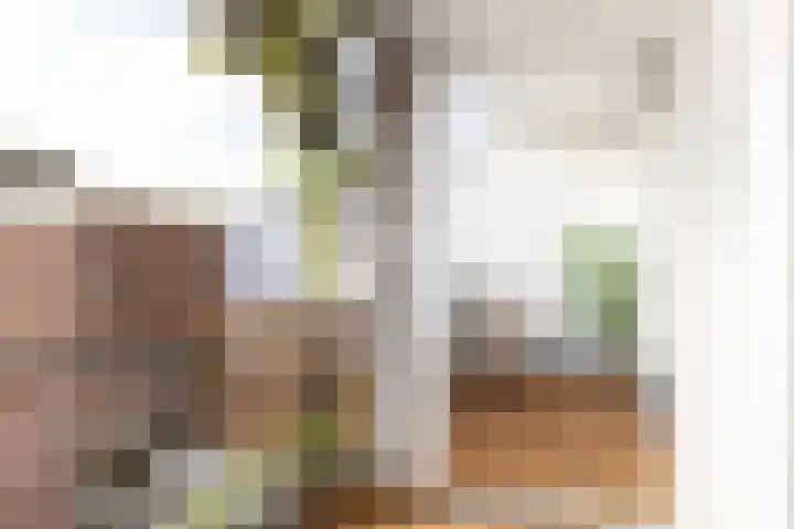 Willem van Noortstraat 103 Utrecht thumbnail 4