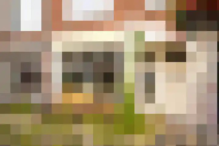 Willem van Noortstraat 160 Utrecht thumbnail 36