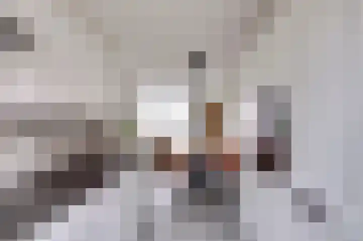 Willem van Noortstraat 17 Hoef en Haag thumbnail 12