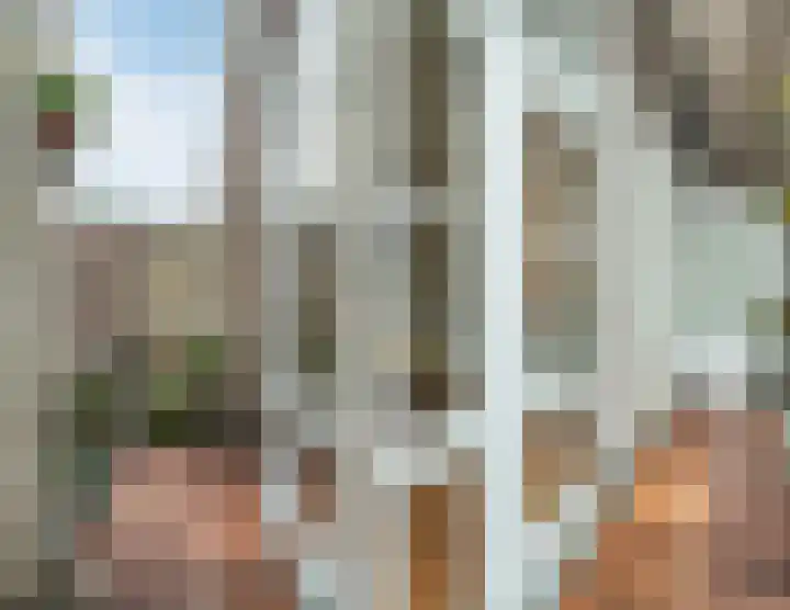Willem van Noortstraat 19 Utrecht thumbnail 11