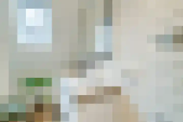Willem van Noortstraat 19 Utrecht thumbnail 32