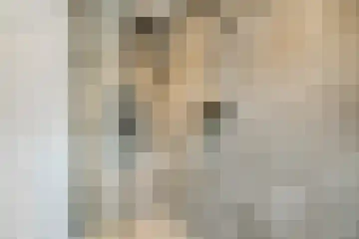 Willem van Noortstraat 19 Utrecht thumbnail 33