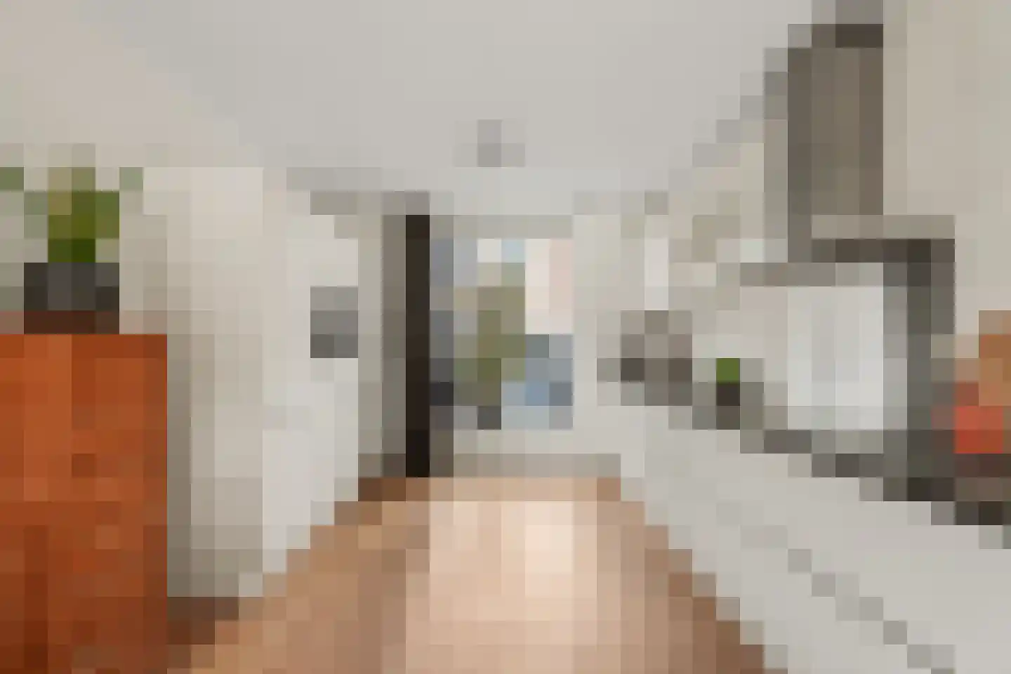 Willem van Noortstraat 2 Hoef en Haag thumbnail 14