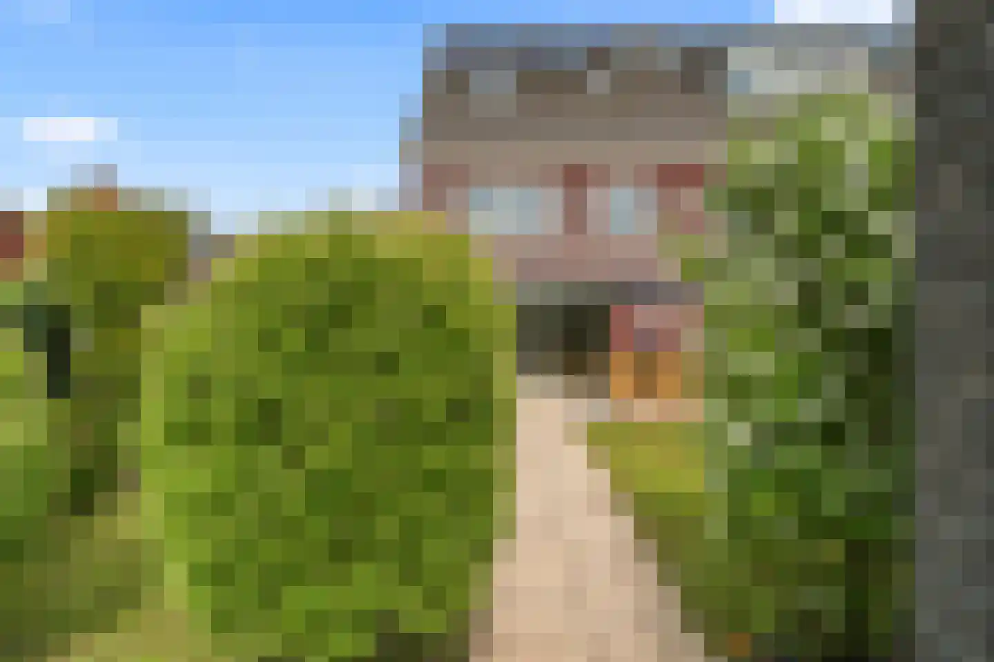 Willem van Noortstraat 2 Hoef en Haag thumbnail 23