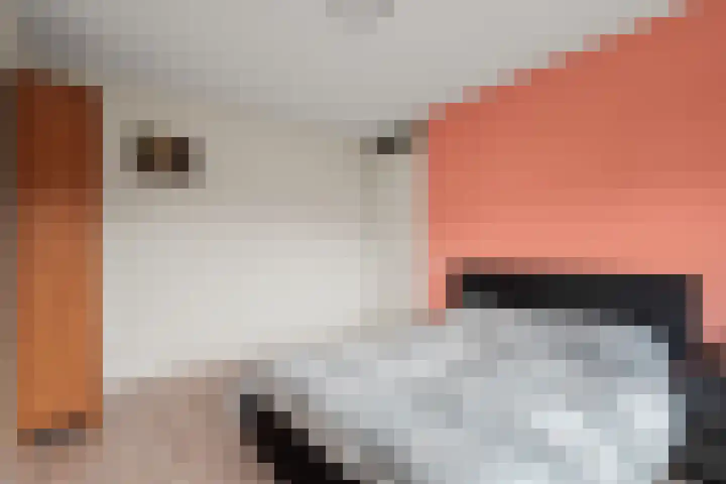 Willem van Noortstraat 2 Hoef en Haag thumbnail 33