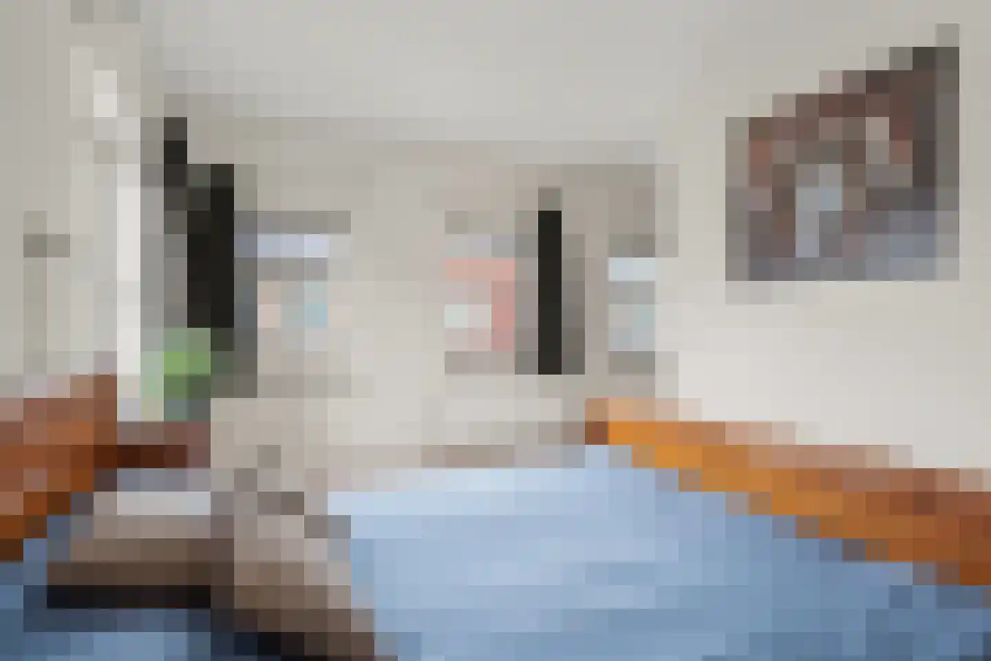 Willem van Noortstraat 2 Hoef en Haag thumbnail 39