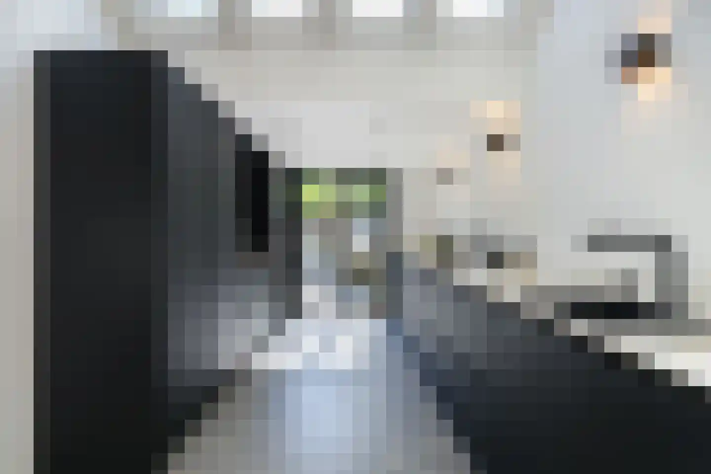 Willem van Noortstraat 43 Utrecht thumbnail 10