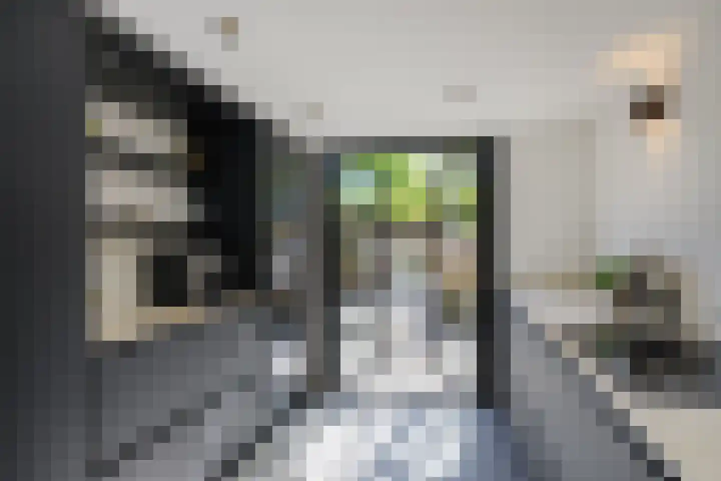 Willem van Noortstraat 43 Utrecht thumbnail 12