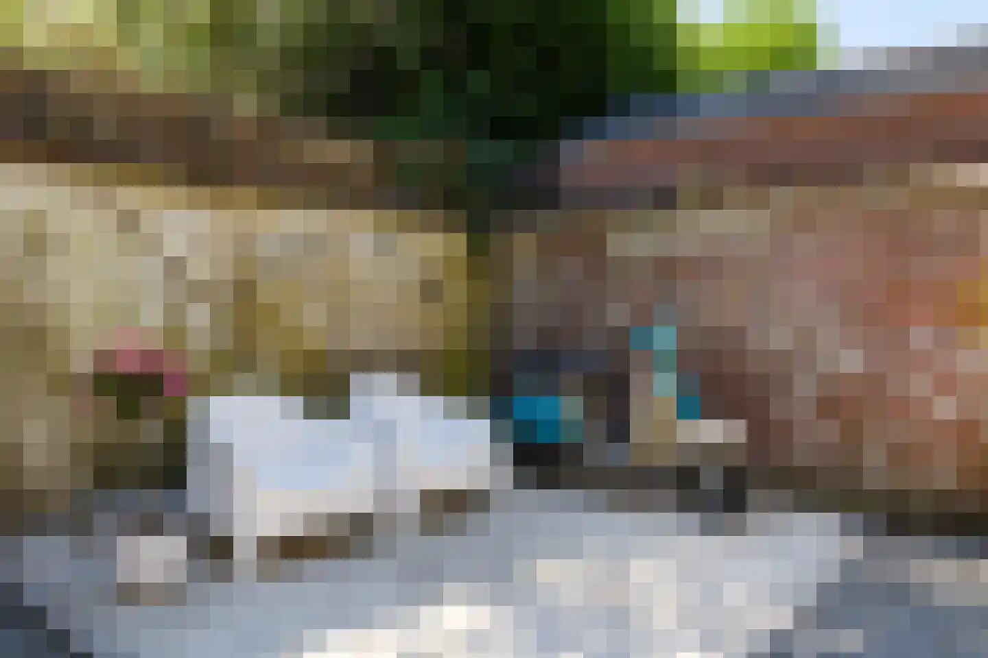 Willem van Noortstraat 43 Utrecht thumbnail 14