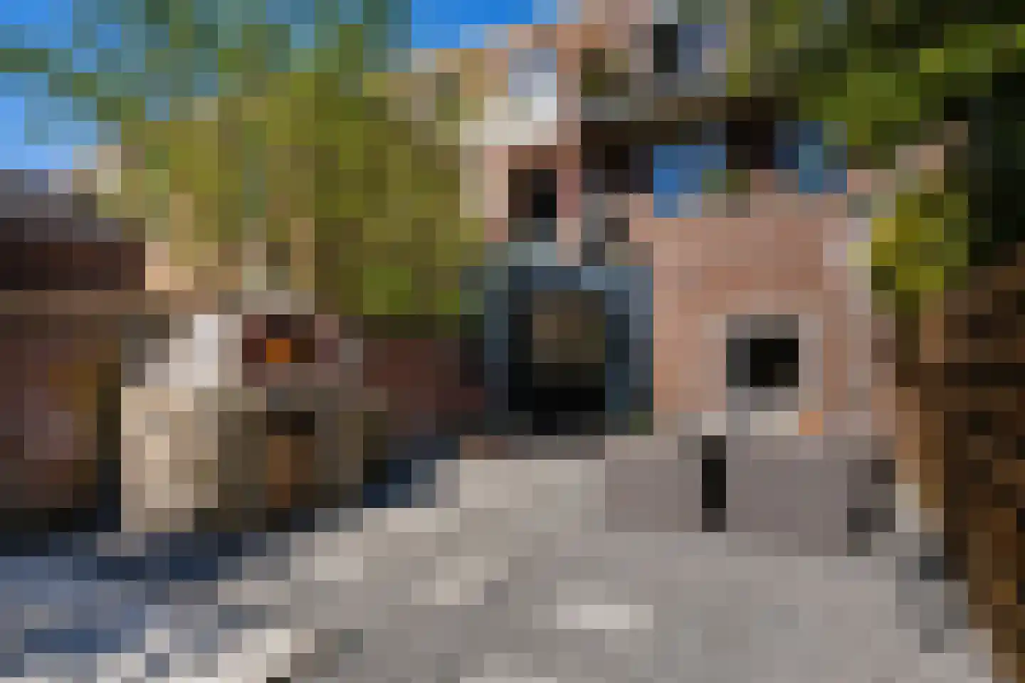 Willem van Noortstraat 43 Utrecht thumbnail 17