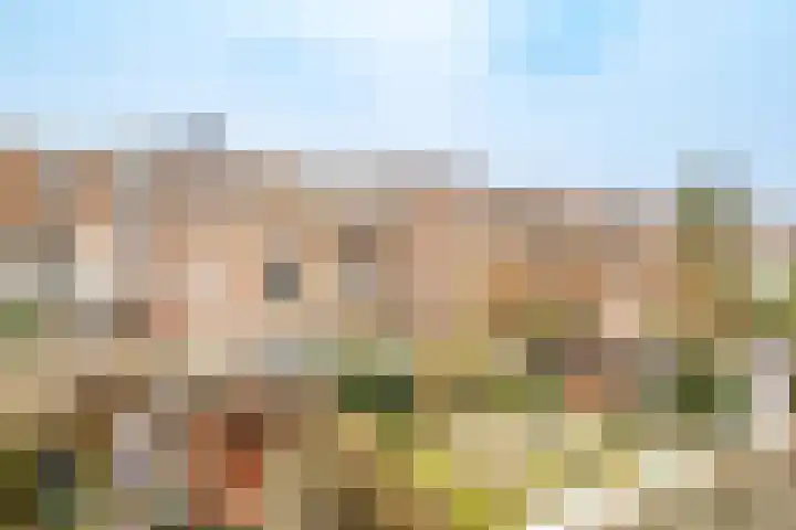 Willem van Noortstraat 6 Utrecht thumbnail 10