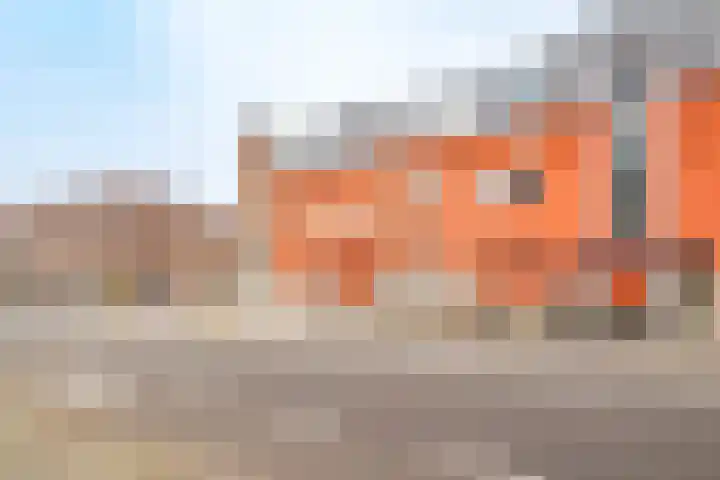 Willem van Noortstraat 6 Utrecht thumbnail 39