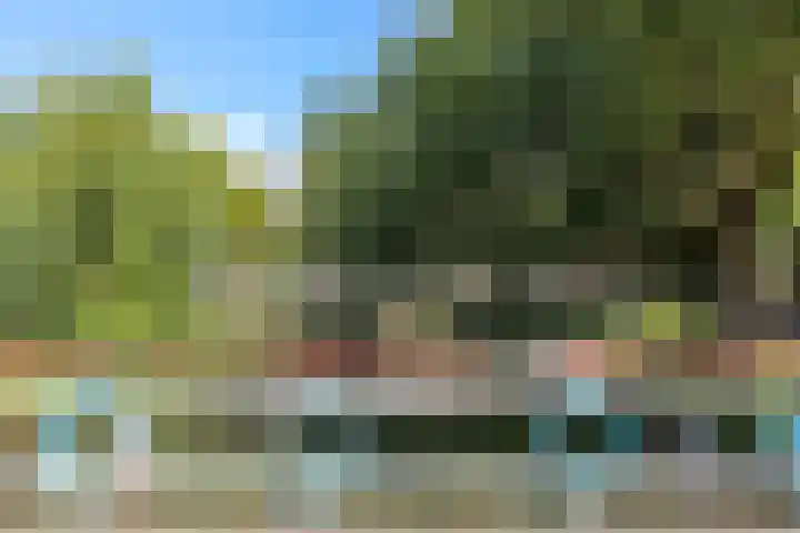 Willem van Noortstraat 6 Utrecht thumbnail 43