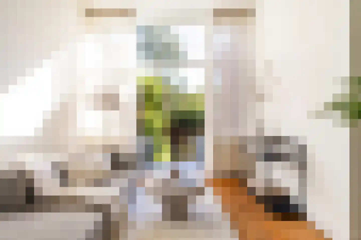 Willem van Noortstraat 73 Utrecht thumbnail 10