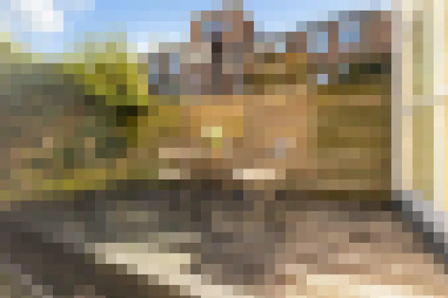 Willem van Noortstraat 73 Utrecht thumbnail 22