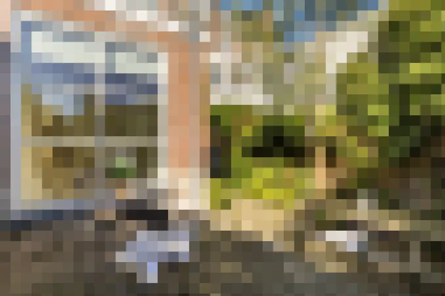 Willem van Noortstraat 73 Utrecht thumbnail 23