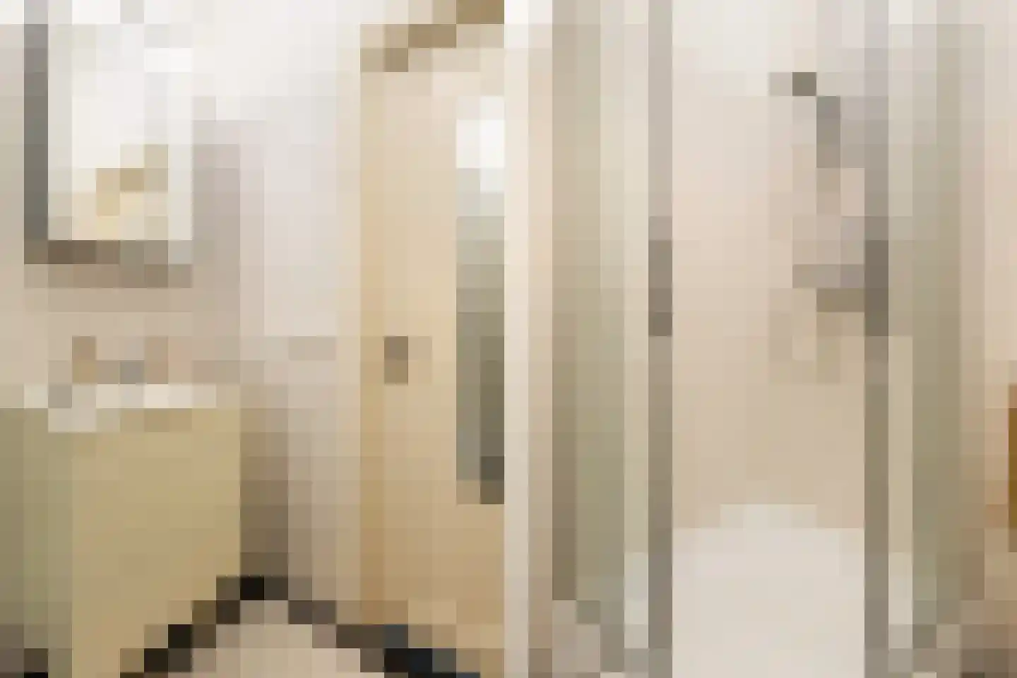 Willem van Noortstraat 73 Utrecht thumbnail 28