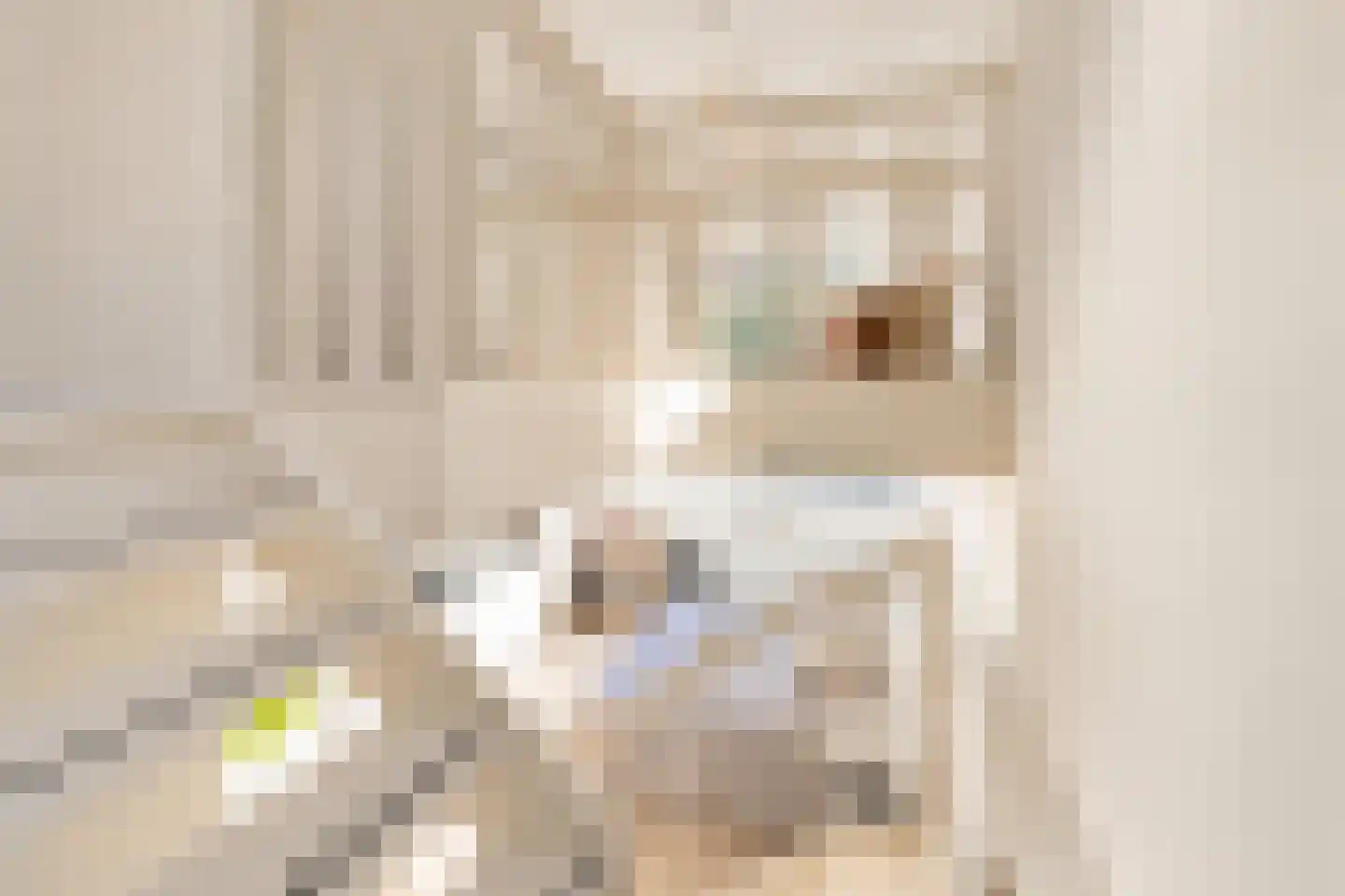 Willem van Noortstraat 73 Utrecht thumbnail 29