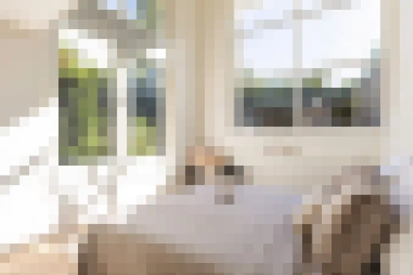 Willem van Noortstraat 73 Utrecht thumbnail 34