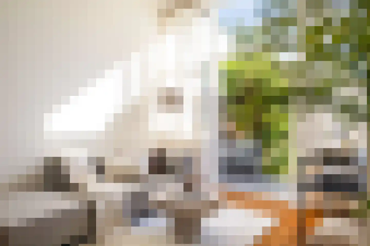 Willem van Noortstraat 73 Utrecht thumbnail 9
