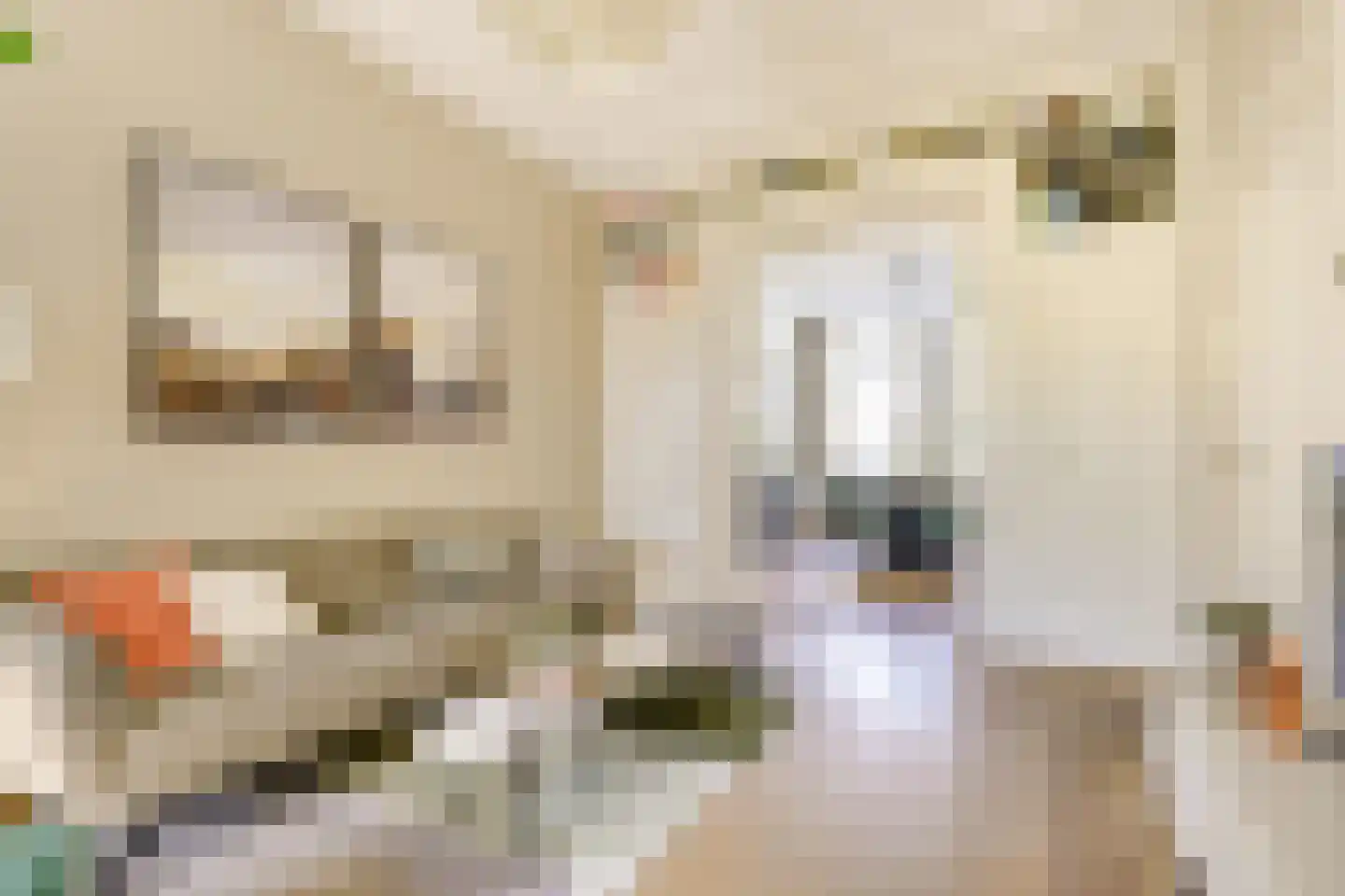 Willem van Noortstraat 83 Utrecht thumbnail 14
