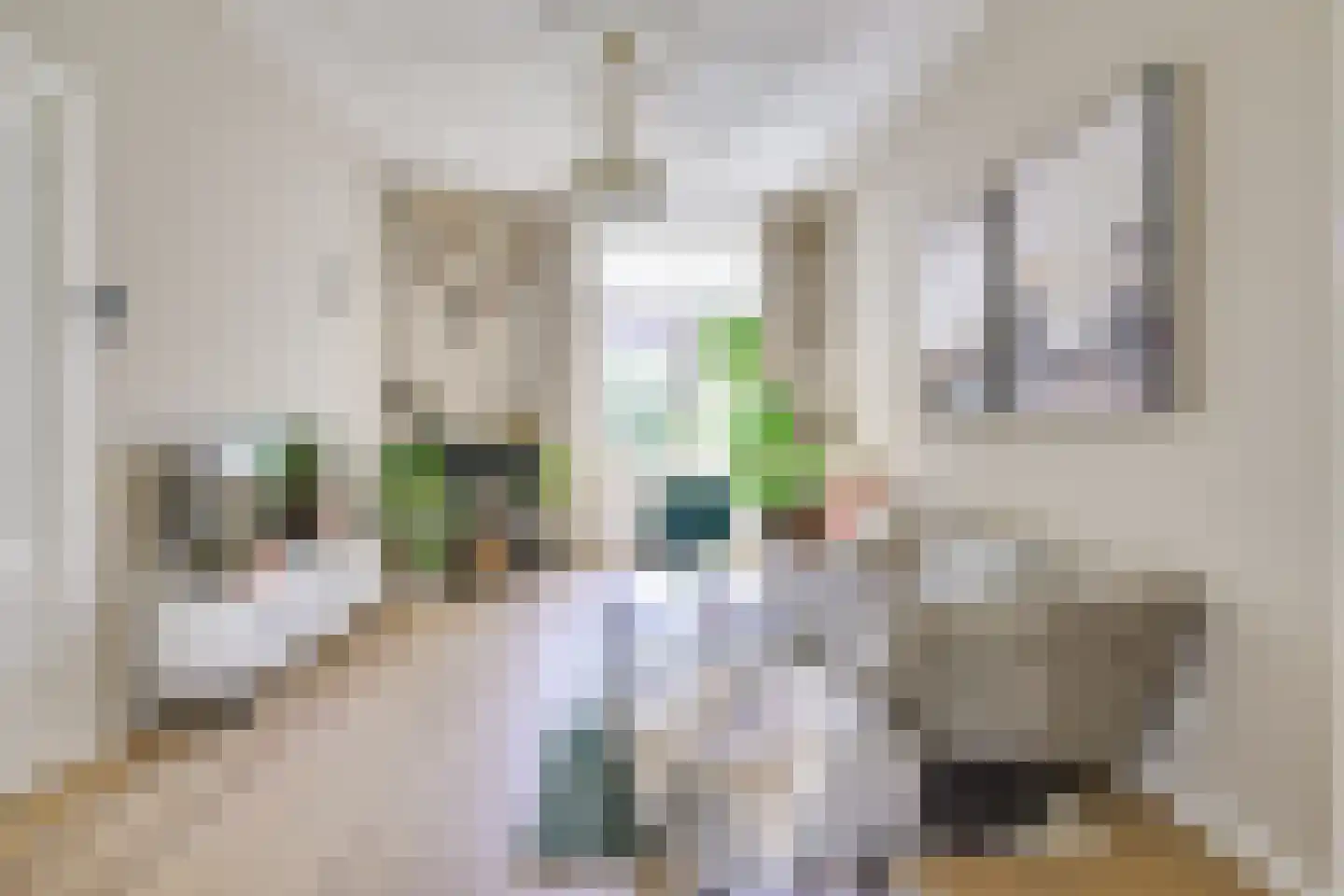 Willem van Noortstraat 83 Utrecht thumbnail 15