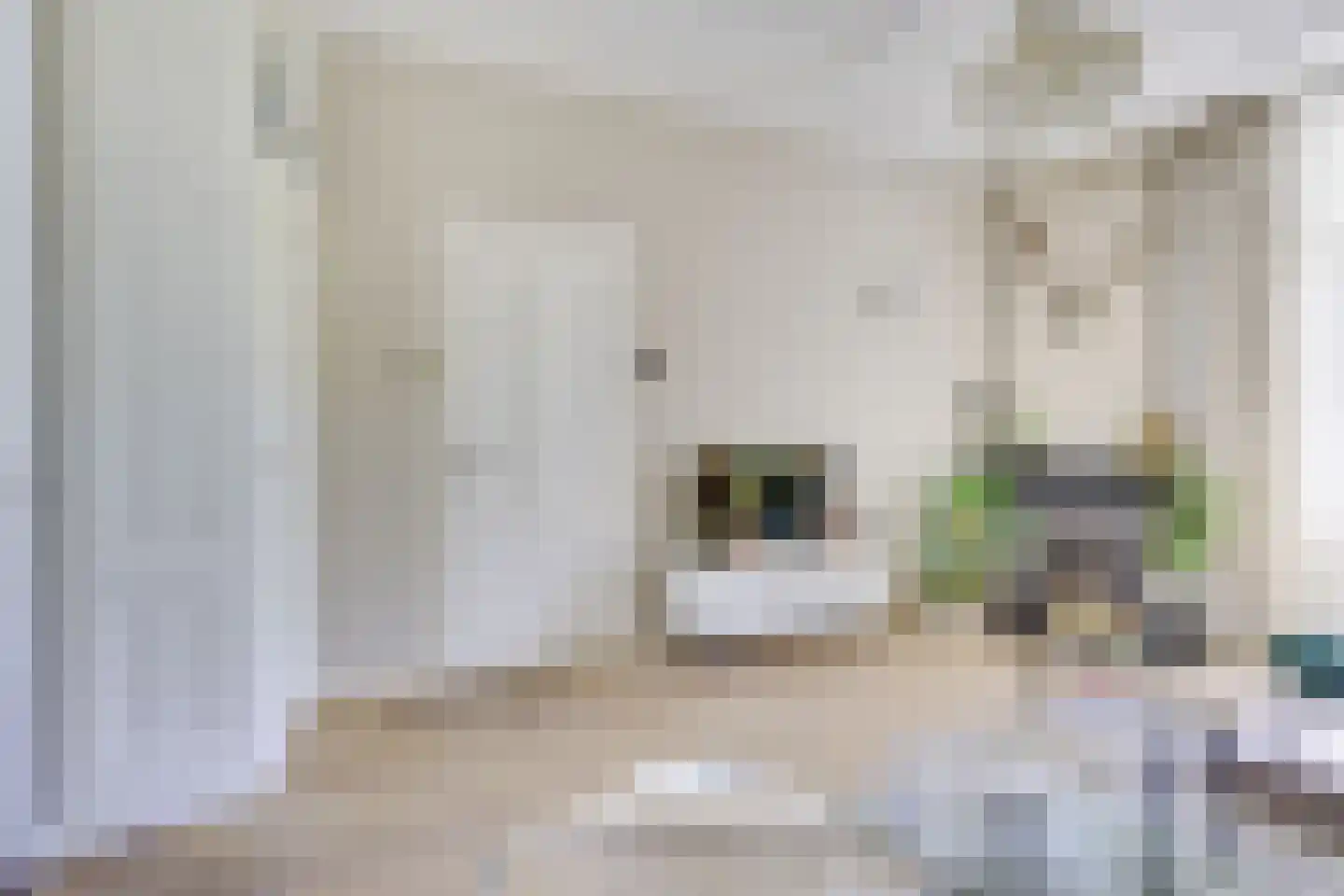 Willem van Noortstraat 83 Utrecht thumbnail 16