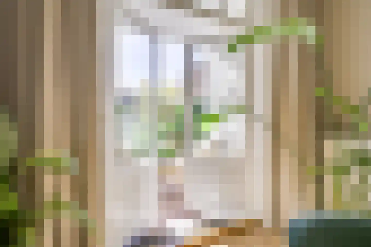 Willem van Noortstraat 83 Utrecht thumbnail 19