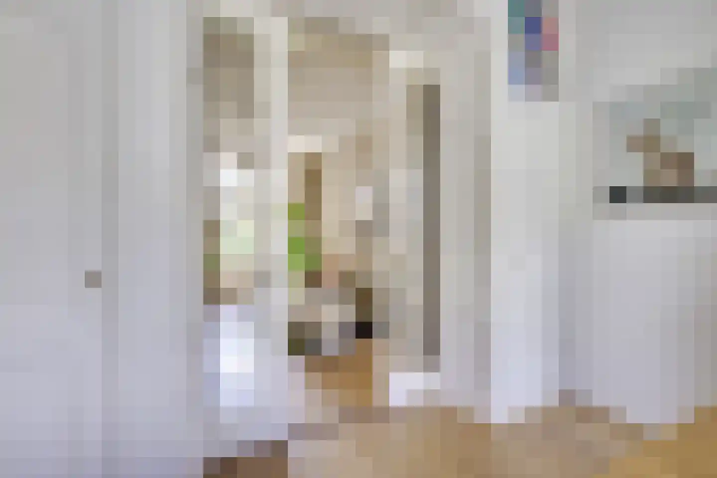 Willem van Noortstraat 83 Utrecht thumbnail 21