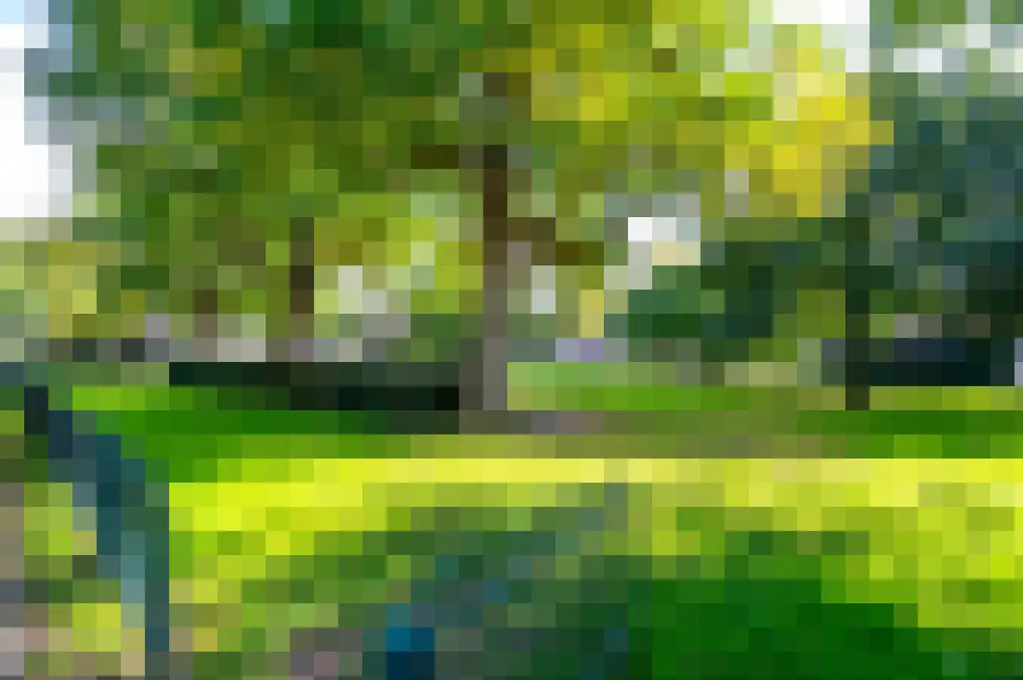 Willem van Noortstraat 83 Utrecht thumbnail 46